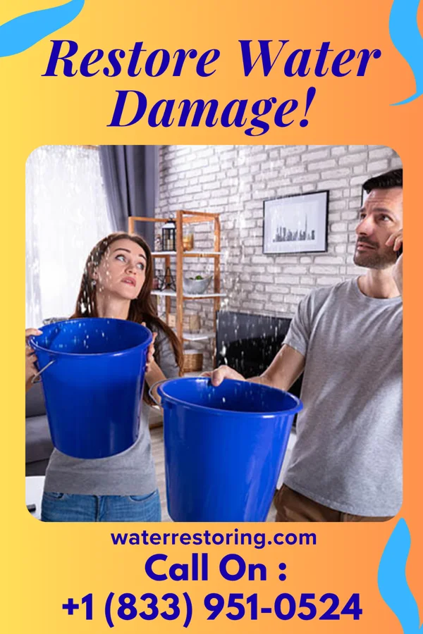 water restoration Platinum Emergency Restoration Pros Commerce